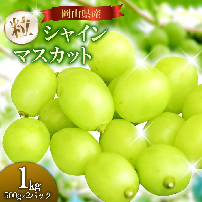 【ふるさと納税】シャインマスカット 1kg バラ粒 500g 2パック 小分け 新着 人気 予約 フルーツ くだもの マスカット ぶどう 葡萄 先行予約 家庭用 訳あり 岡山県産 岡山 【ご家庭用】岡山県産シャインマスカット バラ粒 1kg（500g×2パック）