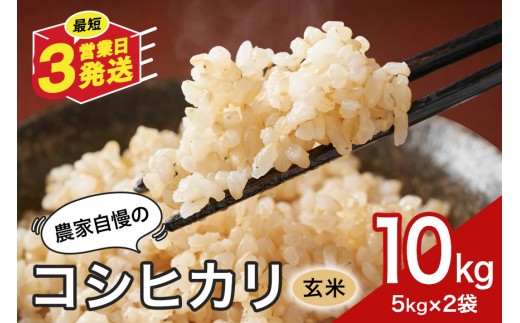 玄米 米 10kg お米 こめ コメ コシヒカリ こしひかり ギフト プレゼント 10キロ おこめ ごはん ご飯 5kg 2袋計10kg 八百津町 岐阜県 Y046-002
