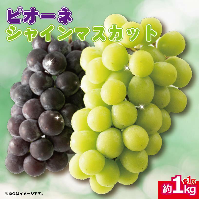 【ふるさと納税】 シャインマスカット ぶどう ピオーネ 計 2房 1kg ＜出荷時期：2025年8月中旬から9月中旬頃＞ フルーツ 果物 葡萄 秋の味覚 甘い 美味しい お中元 先行予約 徳島県 阿波市