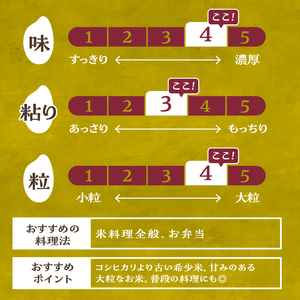 こぴっと米【農林48号】20kg　１等特別栽培米100％