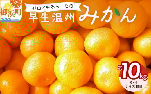 ゼロイチふぁーむのみかん 約10kg【御浜町産 みかん オレンジ デザート 早生 温州 三重県】