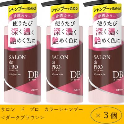 ふるさと納税 稲沢市 ダリヤ　サロン　ド　プロ　カラーシャンプー&amp;トリートメント《ダークブラウン》各3個セット