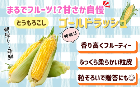 とうもろこし（ゴールドラッシュ）と枝豆セット《2026年7月上旬頃より出荷予定》木内ファーム_とうもろこし Ca-005