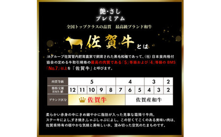 【贈答箱】佐賀牛 希少部位イチボ・トモサンカク 焼肉用 計500g