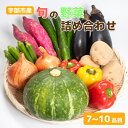 【ふるさと納税】新鮮野菜の産直 ＜楠こもれびの郷「楠四季菜市」＞　山口県 宇部市 宇部産 新鮮 野菜 詰合わせ 農家 土づくり 有機 肥料 地元産 季節 旬