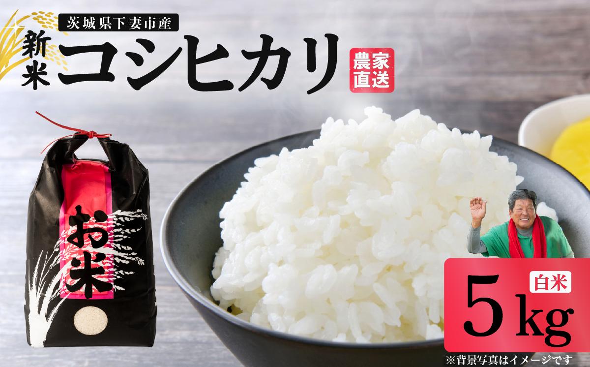 精米 コシヒカリ 5kg 茨城県下妻市産 【 米 お米 白米 ごはん こめ コシヒカリ 令和7年産 茨城県産 】