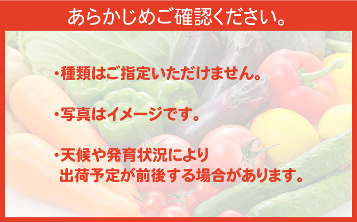 【6回定期便】直売所より発送！季節の野菜セット 7～10品目 / 野菜定期便 やさい定期便 野菜 やさい 旬 詰め合わせ / 南島原市 / ながさき南部生産組合 [SBW004]