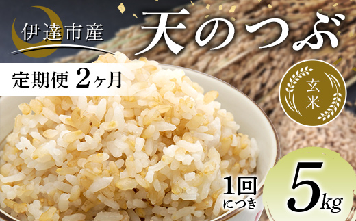 ＜定期便2ヶ月＞令和7年産米 伊達市産 天のつぶ 玄米 5kg 訳あり ご飯 ごはん ライス 伊達市 F21C-392