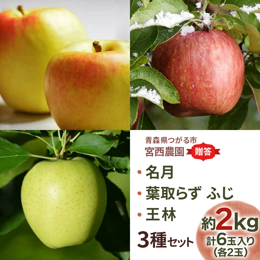 【ふるさと納税】[贈答用] 名月×葉取らずふじ×王林【約2kg 各2玉入り 計6玉】贅沢りんご 3種セット｜令和8年 2026年 ギフト 青森産 津軽 つがる りんご リンゴ 果物 フルーツ 名月 めいげつ ふじ フジ 王林 おうりん 青森りんご マタニティフード認定 [0682]