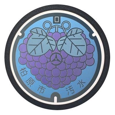 ふるさと納税 柏原市 チタン製ミニチュアマンホール【柏原市】ぶどう1枚