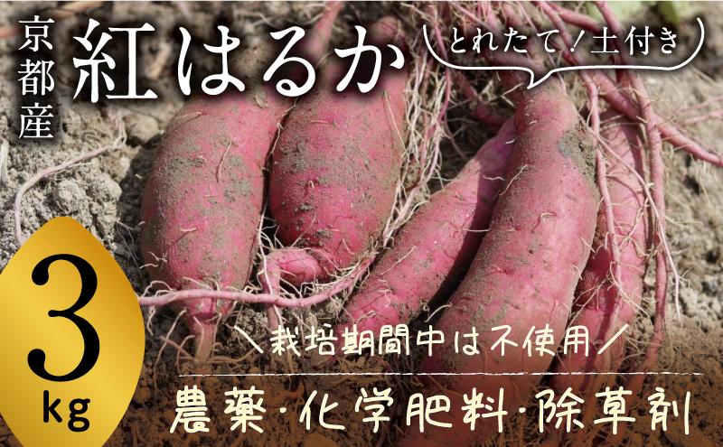 京都府産　サツマイモ (紅はるか) 3kg　栽培期間中農薬・化学肥料・除草剤不使用