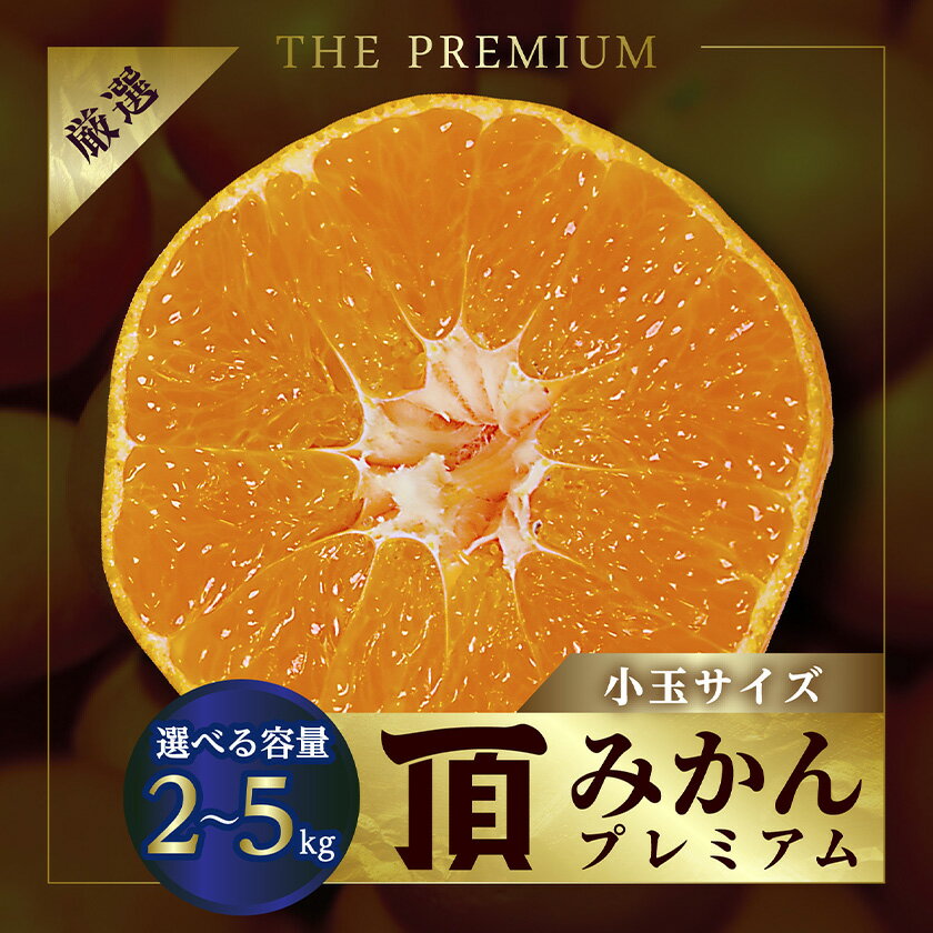 三代目の頂みかんTHEプレミアム【小玉サイズ】5kg【C31-19】