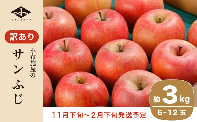 
【訳あり】 サンふじ 約3kg 6～12玉 ［小布施屋］ りんご 林檎 リンゴ 不揃い 規格外 果物 フルーツ 生産者応援 支援 家庭用 令和6年産 【2024年11月下旬～2025年2月下旬発送】 ［B-71］
