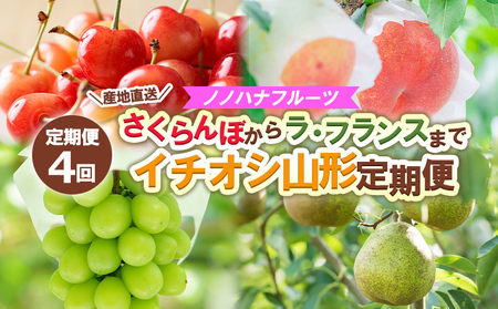 【定期便4回】ノノハナフルーツ さくらんぼからラ・フランスまで 【産地直送】イチオシ山形定期便 【令和8年産先行予約】FS25-592 くだもの 果物 フルーツ 山形 山形県 山形市 2026年産