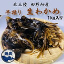 【ふるさと納税】【期間限定】早採り生わかめ 1kg【配送不可地域：離島・沖縄県・九州】【1482533】