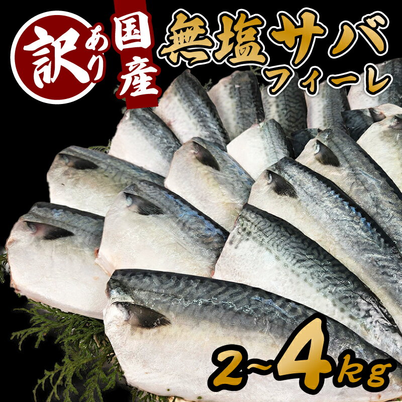 【ふるさと納税】 数量限定 訳あり サバ 鯖 2～4kg バラ凍結 無塩 外湾漁業協同組合 国産サバ 国産鯖 無塩鯖 無塩サバ さば saba 簡単 保存 調理 焼き 味噌 みそ 簡易包装 わけあり 訳アリ 訳あり品 魚 魚介 海鮮 加工品 国産 三重 南伊勢町 伊勢 志摩