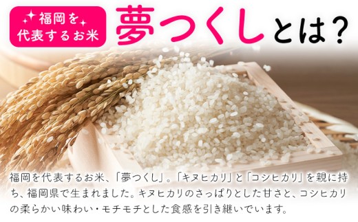 夢つくし 令和7年産 10kg 白米《1-5日以内に出荷予定(土日祝除く)》 お米 ごはん ご飯 rice kome