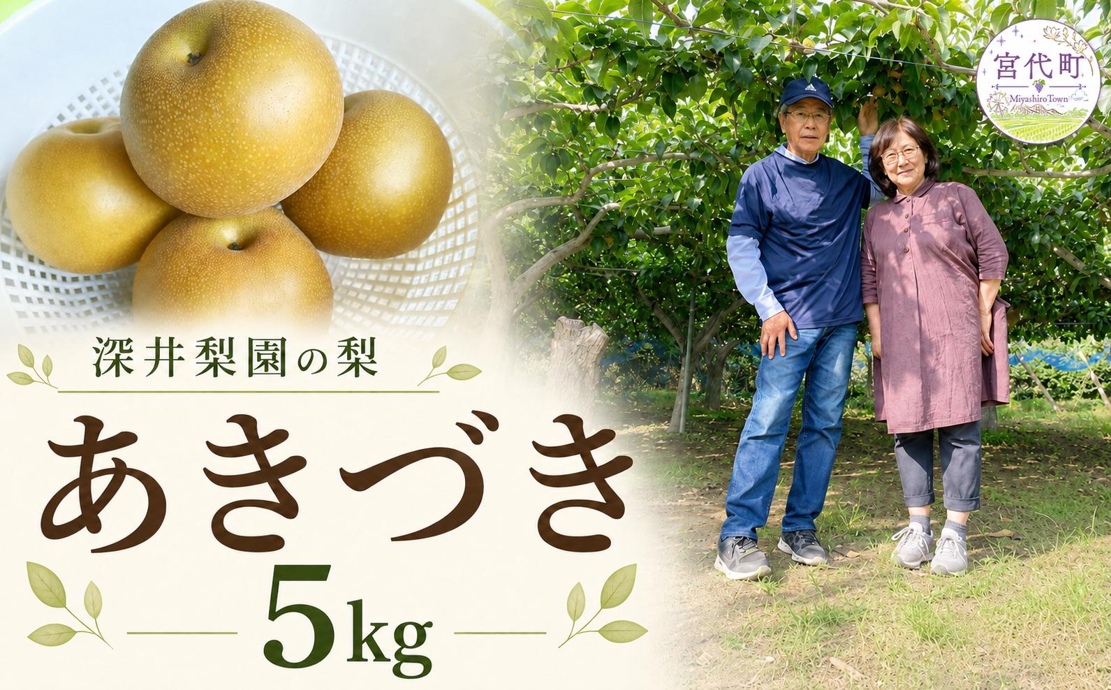 
                  梨 深井梨園の梨（あきづき） 5kg | 梨 なし ナシ あきづき 秋月 アキヅキ 5キロ 秀品 和梨 家庭用 贈答 産地直送 農家直送 数量限定 期間限定 先行予約 秋の味覚 旬の梨 果物 フルーツ 甘い ジューシー 2026年発送 深井梨園 埼玉 埼玉県 宮代町
                