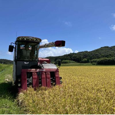ふるさと納税 南種子町 令和7年産 鹿児島県産 にじのきらめき(精米) 5kg |  | 02