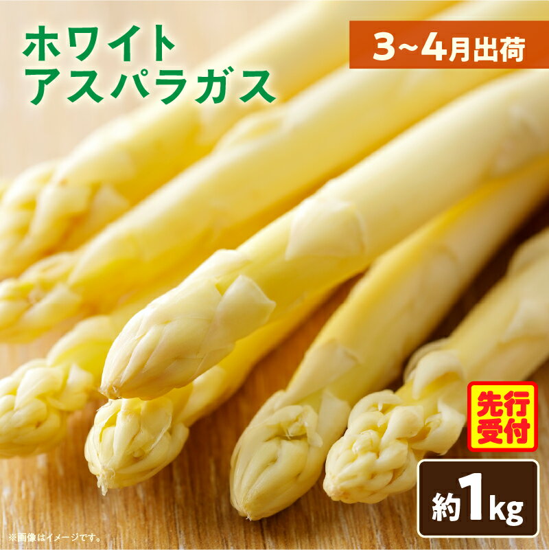 【ふるさと納税】ホワイトアスパラガス約1kg（3～4月出荷） アスパラ 野菜 旬の野菜 人気 旬 お裾分け ギフト おすすめ アスパラガス ホワイトアスパラガス 新鮮 素材の味 香川県産 柔らかい 食感 春野菜 食品 お取り寄せ野菜 直送 香川県 三木町 送料無料