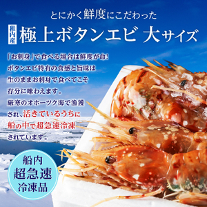 【厳選品】　刺身用ボタンエビ大サイズ500g　+　刺身用ホタテ200gセット【配送不可地域：離島】【1004023】