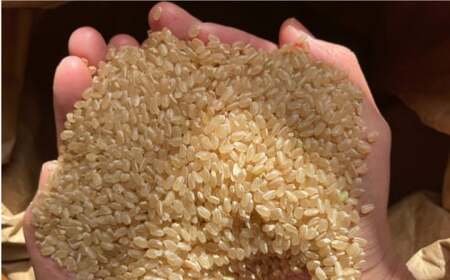 玄米 カイロ YOHEHO 座布団・黒【山麓はっち】[ZBM008]