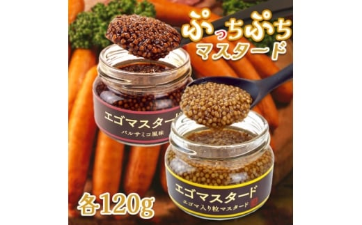 プチプチ食感　粒マスタード2種(プレーン120gとバルサミコ風味120g)エゴマ入り(無添加)【1694944】