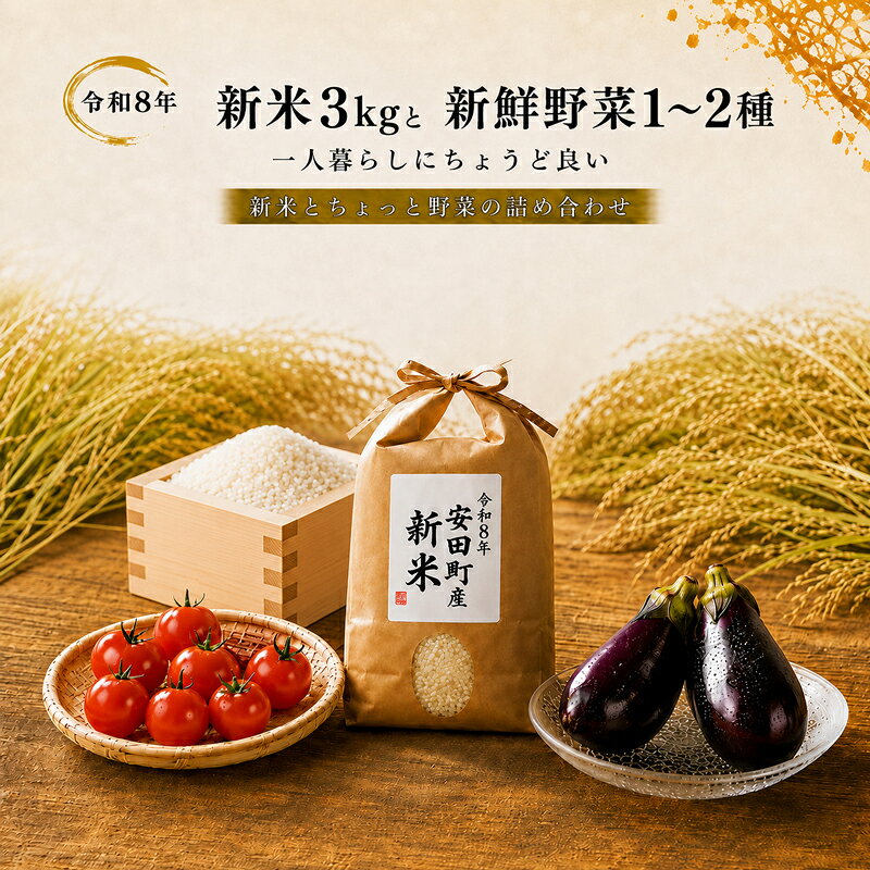 【ふるさと納税】 令和8年 新米 ヒノヒカリ 3kg ちょっと野菜の詰め合わせ 米 3kg 野菜 1-2品 お米 白米 お米 産地直送 安田米 ヒノヒカリ 新米 精米 安田米 おすすめ おまかせ 旬 なすトマト 茄子 みかん ゆず 柚子 じゃがいも 高知 安田町 TR-01