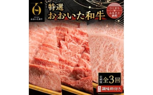 ＜毎月定期便＞特選おおいた和牛(日出町)全3回【4070263】