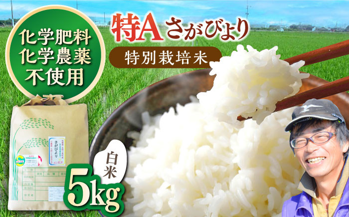 
                  【数量限定｜R7年産】佐賀県産 特別栽培米Aランク　さがびより<白米>5kg 吉野ヶ里町/種まきの会 [FBO016] 
                