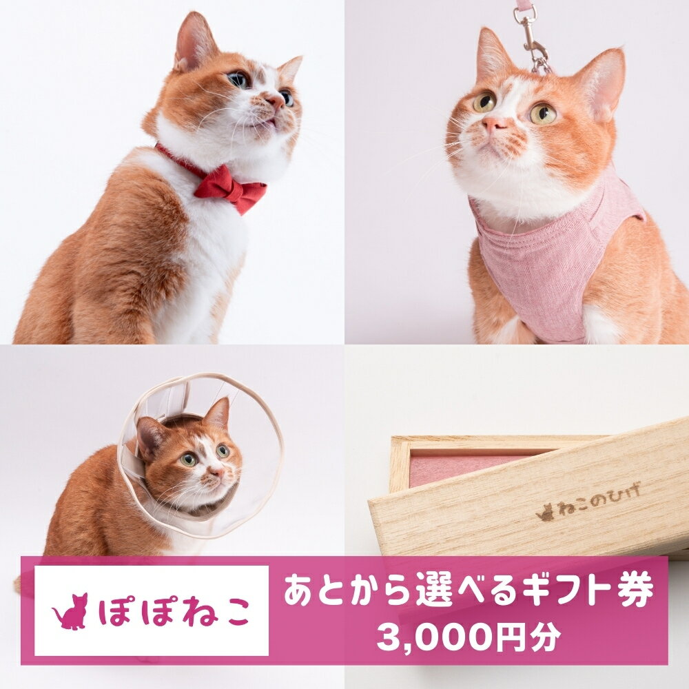 【ふるさと納税】ぽぽねこギフト券（Eメールタイプ）3,000円分「共通返礼品」 金券 商品券 猫 ネコ 首輪 迷子札 鈴 ハーネス リード ペット用服 猫用服 猫服 保護服 エリザベスカラー ペット ペット用品