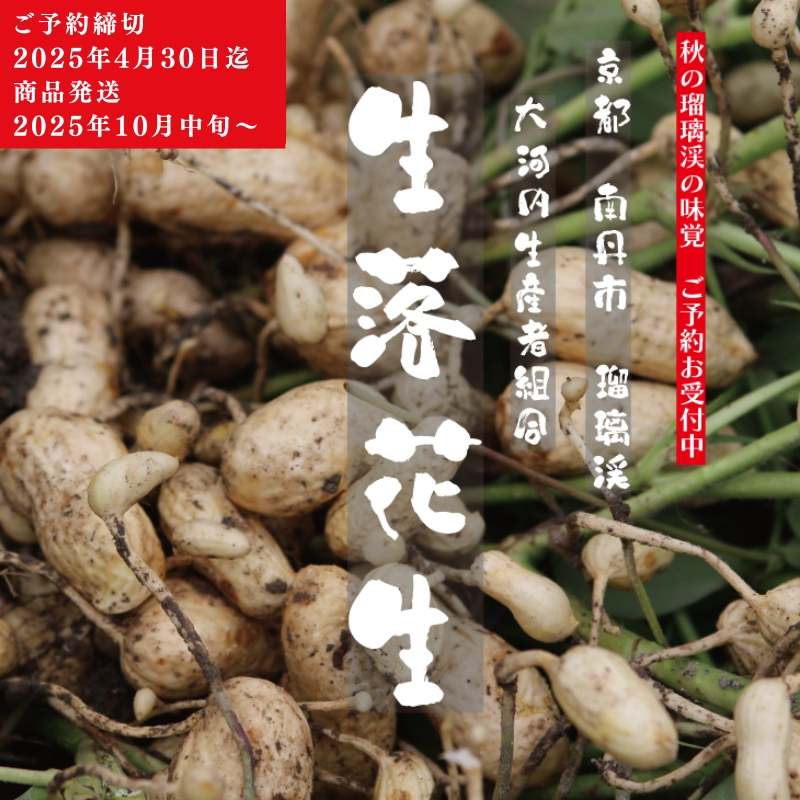 落花生 京都 2026年 先行予約 生落花生 るり渓 大河内生産組合発 丹波 野菜 国産 ピーナッツ おつまみ 先行 ※北海道・沖縄・離島への発送不可 