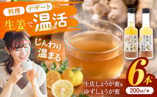 土佐しょうが蜜・ゆずしょうが蜜6本セット/ 土佐生姜 ほっこりジンジャー【はるのTERRACE】 [ATAV011]