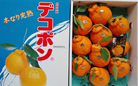 【2026年発送分 先行予約】木なり完熟デコポン 3kg 150ケース限定 / 佐賀県 / 一般社団法人 龍乃[41ANAC011]