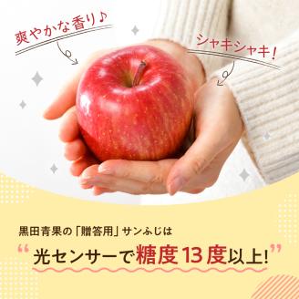 【2024年11月後半発送】 りんご 約10kg サンふじ 青森産 糖度 13度以上　贈答用 特選～特秀