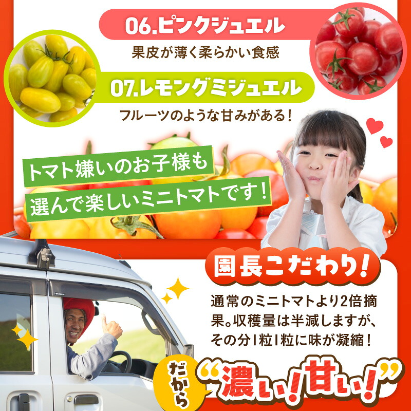 【2027年発送】【お試し】まるでトマトの宝石箱！フルーツジュエリートマト 約800g 長田農園 産地直送 トマト とまと 野菜 やさい フルーツ サラダ 濃厚 甘い ご褒美 プレゼント 美容 健康 