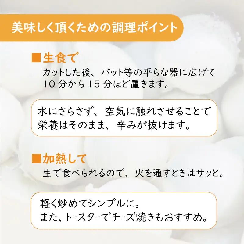 【予約：2026年7月中旬から順次発送】ところの白玉ねぎ 2kg ( 玉ねぎ タマネギ 玉葱 野菜 白玉ねぎ 2キロ 期間限定 辛みが少ない 生食 )【121-0013-2026】