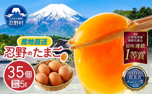 ★新規格登場★富士山の麓で育った産地直送 ”忍野の卵”35個 ※割れ保証含む　[卵 国産 産地直送 生卵 玉子 たまご 卵かけご飯 卵焼き 親子丼 目玉焼き すき焼き オムライス オムレツ スイーツ作り 料理 調理 人気 鶏卵 鶏 新鮮 山梨県 忍野村]