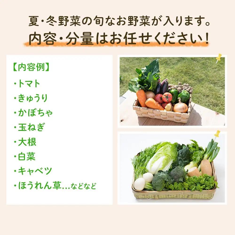 「ベジーズ館」の夏・冬野菜　年２回コース （7月と12月発送）｜【野菜定期便・野菜・定期便・冬野菜・夏野菜・野菜セット・旬の野菜・兵庫野菜・相生野菜・国産野菜・野菜詰め合わせ・冬野菜詰め合わせ・夏野菜