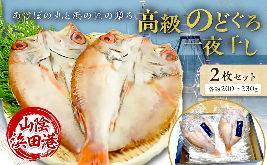 山陰浜田港あけぼの丸と浜の匠の贈る高級のどぐろ一夜干し2枚セット 魚 魚介類 のどぐろ 干物 干もの 一夜干し 【146_2025】