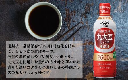ヤマサ丸大豆しょうゆ 12本(1本600ml) しょうゆ 醤油 しょう油 丸大豆 調味料 鮮度生活 老舗 人気 おすすめ 贈答 ギフト 送料無料 ヤマサ醤油 生しょうゆ 生醤油 麹 麹醤油 ふるさと納