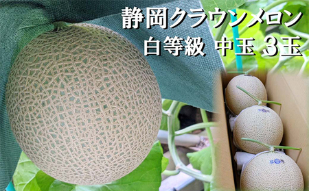 クラウンメロン マスクメロン 並 白等級 中玉 クラウンメロン【約1.3kg 3玉】