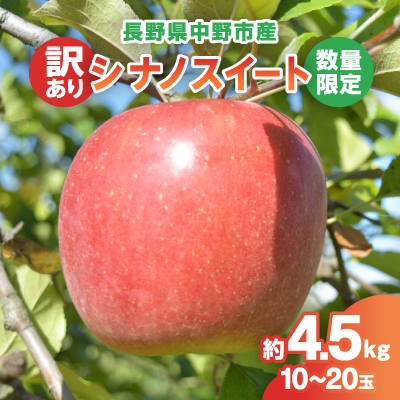 【2025年発送】【数量限定!】シナノスイート訳あり約4.5kg10-20玉【配送不可地域：離島・北海道・沖縄】【1414231】