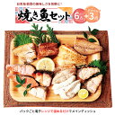 【ふるさと納税】【能登半島地震復興支援】【発送時期が選べる】レンジで簡単　焼き魚セット※着日指定不可 石川県 七尾市 能登