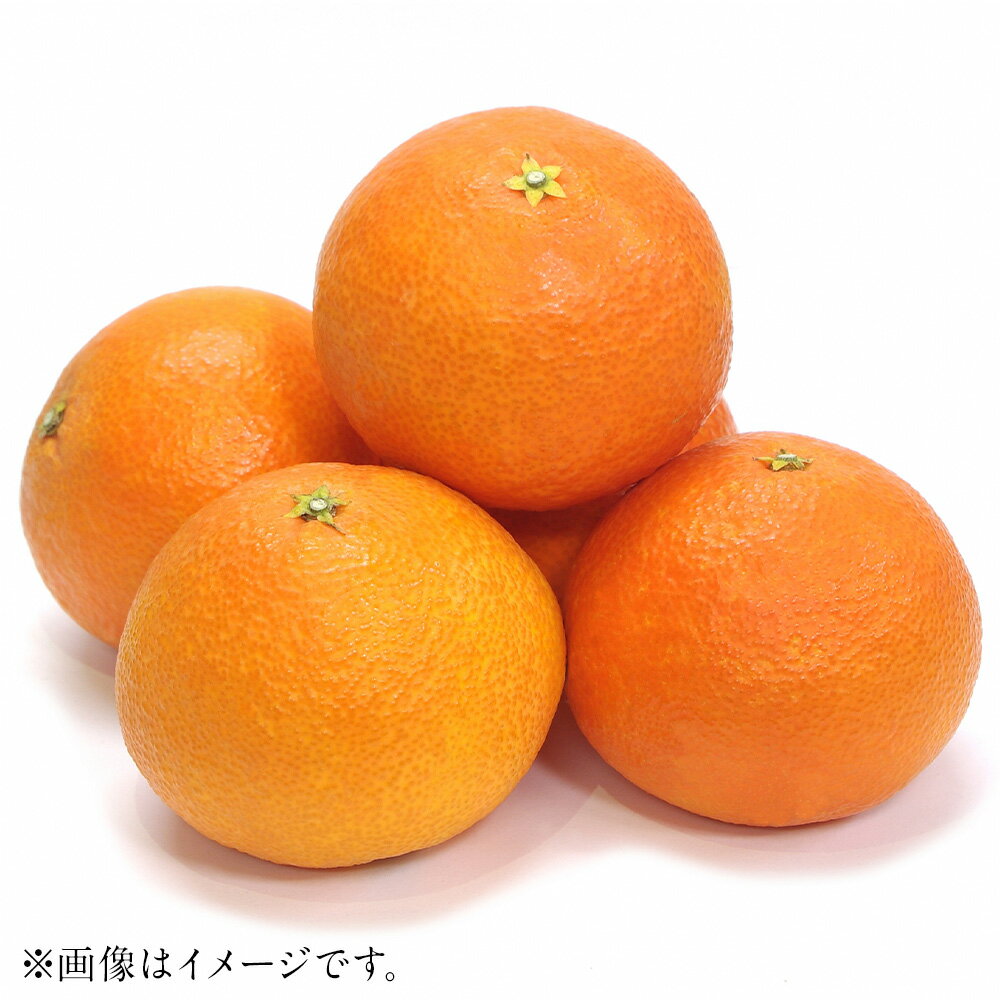 【ふるさと納税】紅まどんな 4L～L 約3kg みかん 蜜柑 果物 フルーツ 柑橘 デザート おやつ お取り寄せ 国産 愛媛県 送料無料【2025年12月下旬-2月下旬発送予定】(817)