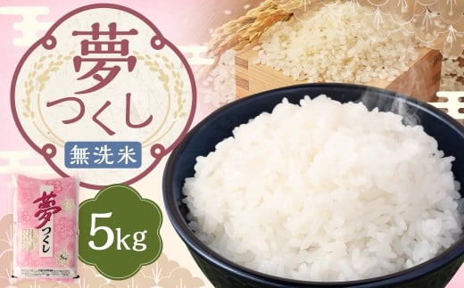 【令和7年産】 無洗米 食味鑑定士厳選 夢つくし 5kg 米 こめ コメ お米 精米 単一原料米 ごはん ご飯 ライス おにぎり