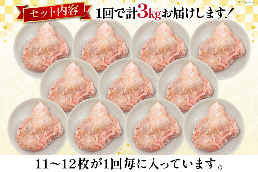 定期便 肉 鶏肉 6回定期便 若鶏もも身11～12パック 計3kg [九州児湯フーズ 宮崎県 美郷町 31aj0060] 冷凍 小分け 個包装 鶏もも肉 もも肉 モモ肉