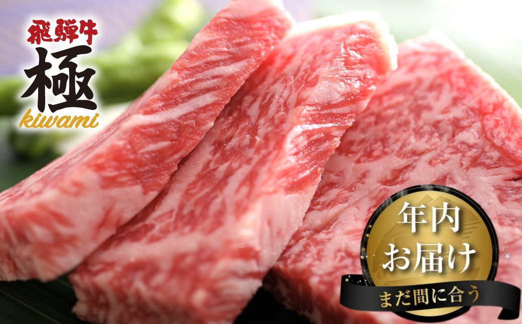 
            《年内発送》飛騨市推奨特産品 飛騨牛 ミニロインステーキ４枚 牛肉 和牛 肉 ステーキ 岐阜県 飛騨市 年内配送 年内お届け 12月
          