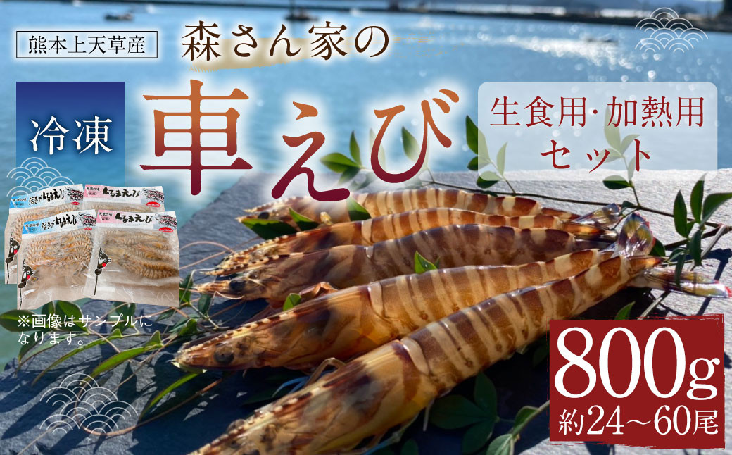 
【加熱用・生食用セット】森さん家の冷凍 車えび 800g えび 車海老 刺身
