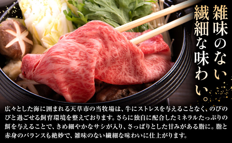 黒毛和牛 すき焼き用 切り落とし 1kg A5 ロース すき焼きのたれ 1本付 株式会社田中畜産 《30日以内に出荷予定(土日祝を除く)》熊本県 苓北町 肉 にく お肉 おにく 牛 牛肉 和牛 ロース